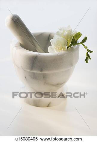 Stock Photography - Mortar and pestle with flower. Fotosearch