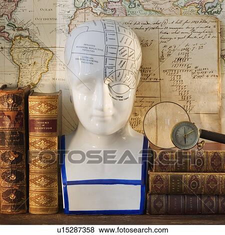 Stock Photo - Phrenology head diagram on shelf with books. Fotosearch