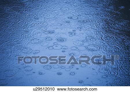 Raindrops rippling on water View Large Photo Image Stock Image - Raindrops rippling on water. Fotosearch