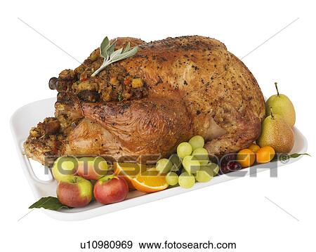 Roasted turkey and fruit on platter View Large Photo Image Stock Photo - Roasted turkey and fruit on platter. Fotosearch
