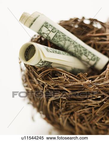 Rolled dollar bills in bird’s nest View Large Photo Image Stock Photography - Rolled dollar bills in bird’s nest. Fotosearch