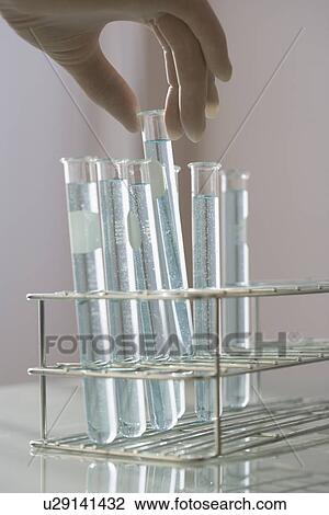 Scientist taking vial out of rack View Large Photo Image Stock Image - Scientist taking vial out of rack. Fotosearch