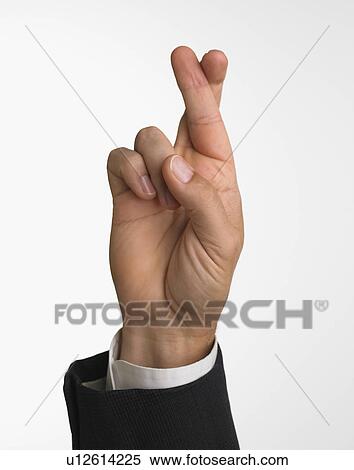 Studio shot of businessman's hand with fingers crossed View Large Photo Image Stock Photography - Studio shot of businessman's hand with fingers crossed. Fotosearch