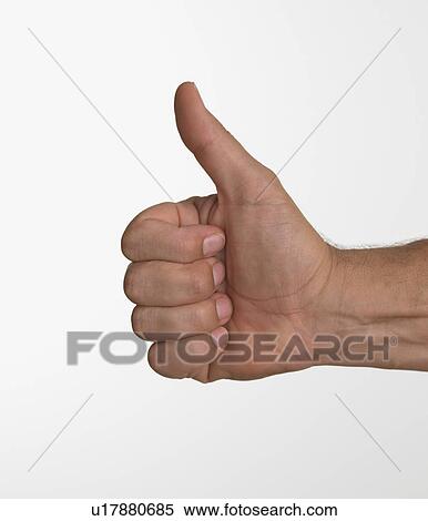 Stock Photography - Studio shot of man's hand giving thumbs up. Fotosearch