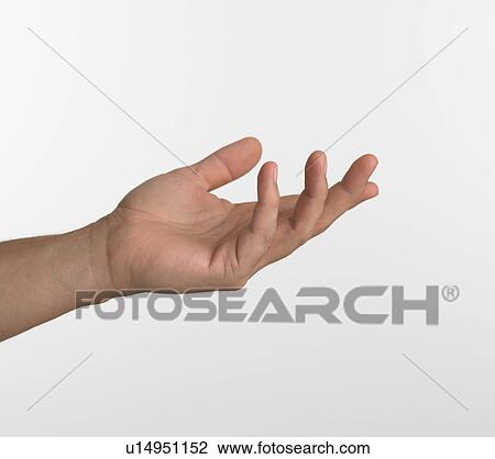 Studio shot of man's hand View Large Photo Image Stock Image - Studio shot of man's hand . Fotosearch