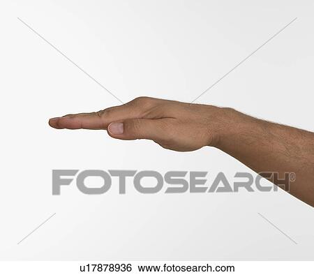 Stock Photograph - Studio shot of man's hand with palm down. Fotosearch