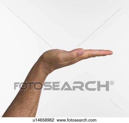 Studio shot of man's hand with palm up View Large Photo Image Stock Image - Studio shot of man's hand with palm up. Fotosearch