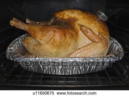 Turkey roasting in oven View Large Photo Image Stock Photography - Turkey roasting in oven. Fotosearch