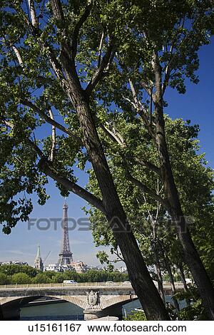 Stock Photo - View through trees to Eiffel Tower. Fotosearch