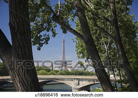 View through trees to Eiffel Tower View Large Photo Image Stock Photograph - View through trees to Eiffel Tower. Fotosearch