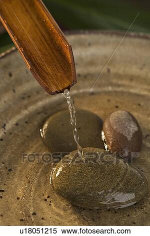 Water pouring out of plant stalk into bowl with stones View Large Photo Image Stock Photography - Water pouring out of plant stalk into bowl with stones. Fotosearch