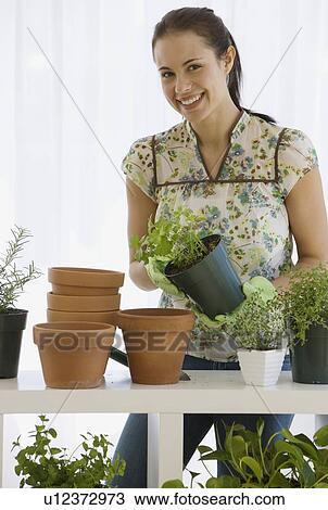 Woman potting plants View Large Photo Image Stock Image - Woman potting plants. Fotosearch