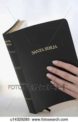 Woman reading Spanish Bible View Large Photo Image Stock Photography - Woman reading Spanish Bible. Fotosearch