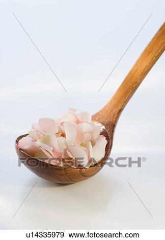 Stock Photo - Wooden spoon with flower petals. Fotosearch
