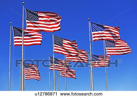 American flags View Large Photo Image Stock Image - American flags. Fotosearch
