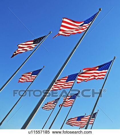 American flags View Large Photo Image Stock Photography - American flags. Fotosearch