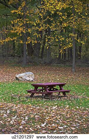 autumn scene View Large Photo Image Stock Photo - autumn scene . Fotosearch