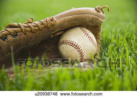 Stock Photo - Baseball and mitt laying on grass. Fotosearch
