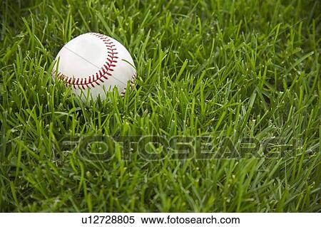 Stock Photography - Baseball laying on grass. Fotosearch