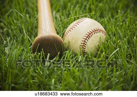 Bat and baseball laying on grass View Large Photo Image Stock Image - Bat and baseball laying on grass. Fotosearch