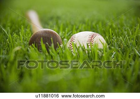 Bat and baseball laying on grass View Large Photo Image Stock Photograph - Bat and baseball laying on grass. Fotosearch