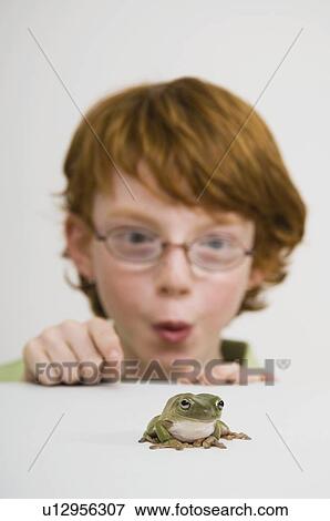 Boy looking at frog View Large Photo Image Stock Photo - Boy looking at frog. Fotosearch