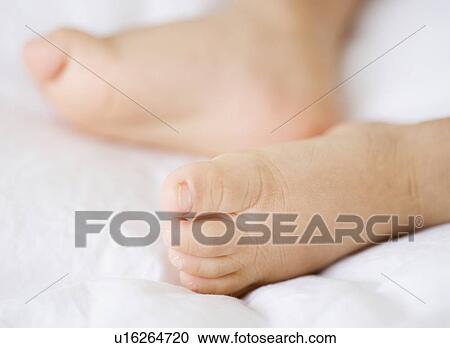 Close up of baby’s feet View Large Photo Image Stock Image - Close up of baby’s feet. Fotosearch