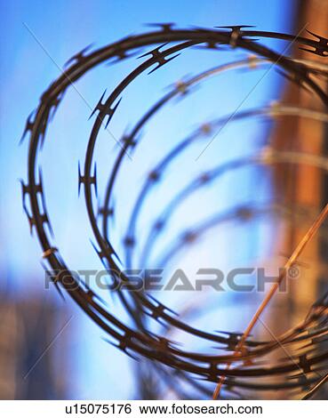 Close up of coiled razor wire View Large Photo Image Stock Photograph - Close up of coiled razor wire. Fotosearch