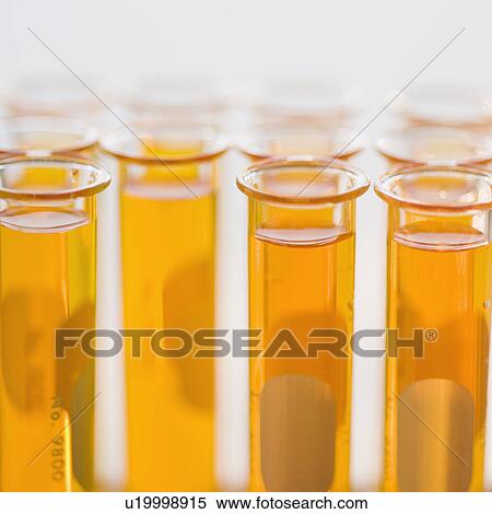 Close up of liquid in vials View Large Photo Image Stock Photography - Close up of liquid in vials. Fotosearch
