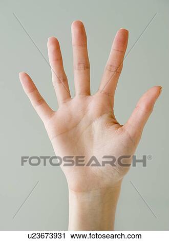 Close up of woman’s hand View Large Photo Image Stock Image - Close up of woman’s hand. Fotosearch