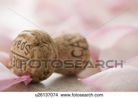 Picture - Closeup of cork with rose petals. Fotosearch
