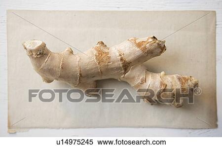 Closeup of ginger root View Large Photo Image Stock Photography - Closeup of ginger root. Fotosearch