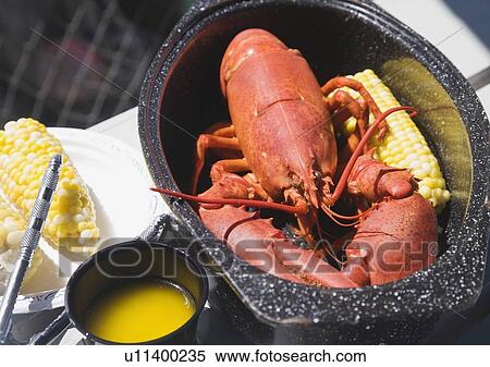 Stock Photography - Cooked lobster in pot, Maine, United States. Fotosearch