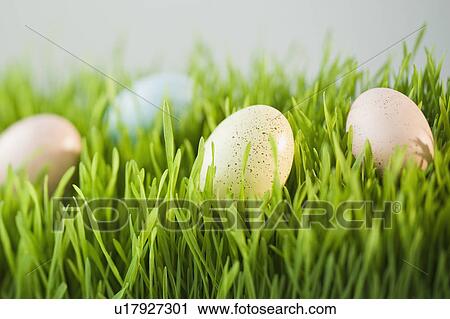 Decorated eggs in grass View Large Photo Image Stock Image - Decorated eggs in grass. Fotosearch