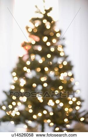 Defocused shot of Christmas tree View Large Photo Image Stock Photo - Defocused shot of Christmas tree. Fotosearch