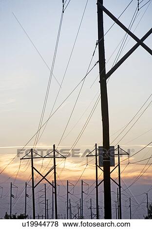 Electrical poles and wires at sunset View Large Photo Image Stock Photo - Electrical poles and wires at sunset. Fotosearch