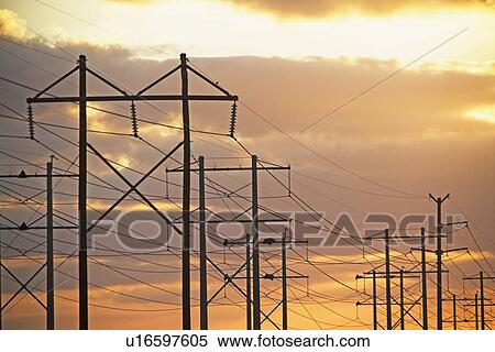 Electrical poles and wires at sunset View Large Photo Image Stock Photography - Electrical poles and wires at sunset. Fotosearch