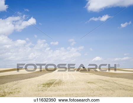Farmland Billings Montana USA View Large Photo Image Stock Image - Farmland Billings Montana USA. Fotosearch