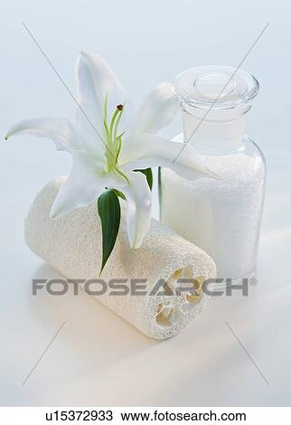 Flower and loofah next to bath salts View Large Photo Image Stock Image - Flower and loofah next to bath salts. Fotosearch