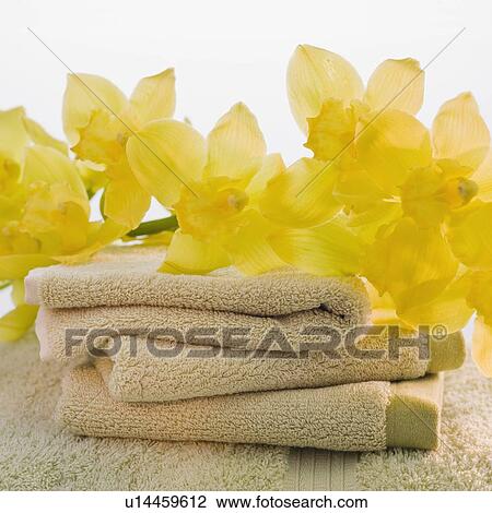 Stock Image - Flowers on stack of towels. Fotosearch
