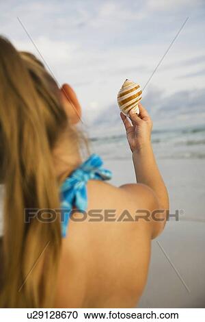 Girl holding up sea shell, Florida, United States View Large Photo Image Stock Image - Girl holding up sea shell, Florida, United States. Fotosearch