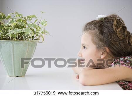Girl looking at potted plant View Large Photo Image Stock Photo - Girl looking at potted plant. Fotosearch