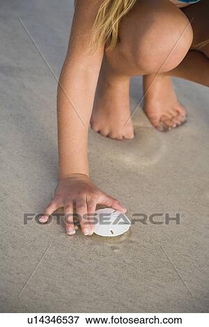 Stock Photo - Girl picking up sand dollar, Florida, United States. Fotosearch