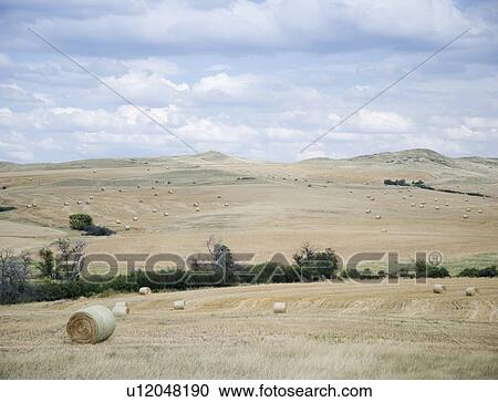 Hay bales southern Montana USA View Large Photo Image Stock Image - Hay bales southern Montana USA. Fotosearch