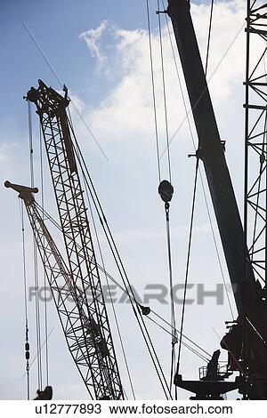 Low angle view of cranes View Large Photo Image Stock Image - Low angle view of cranes. Fotosearch