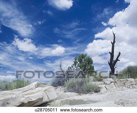 Outside Arches National Park Moab Utah USA View Large Photo Image Stock Image - Outside Arches National Park Moab Utah USA. Fotosearch