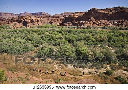 Stock Photography - People hiking in canyon, Canyonlands National Park, Moab, Utah, United States. Fotosearch