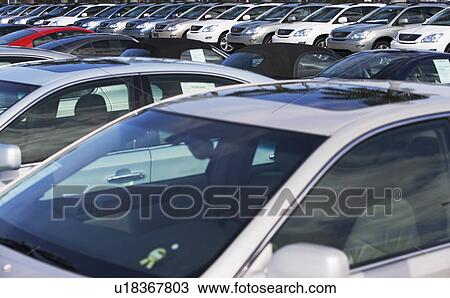Rows of new cars on lot View Large Photo Image Stock Image - Rows of new cars on lot. Fotosearch