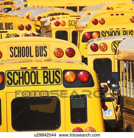 School buses parked in lines View Large Photo Image Picture - School buses parked in lines. Fotosearch