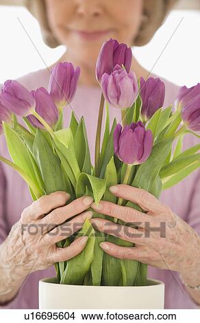 Senior woman arranging flowers View Large Photo Image Picture - Senior woman arranging flowers. Fotosearch